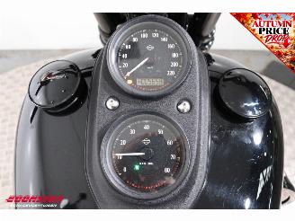 Harley-Davidson  FXDLS FXDLS Dyna Low Rider 110 Screaming Eagle ABS LED Cruise picture 12