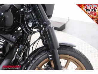 Harley-Davidson  FXDLS FXDLS Dyna Low Rider 110 Screaming Eagle ABS LED Cruise picture 11