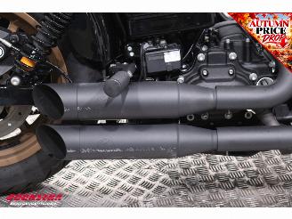 Harley-Davidson  FXDLS FXDLS Dyna Low Rider 110 Screaming Eagle ABS LED Cruise picture 9