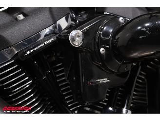 Harley-Davidson  131 FXFBS Softail Fat Bob Screamin' Eagle Stage IV!! Jekill/Hyde picture 13