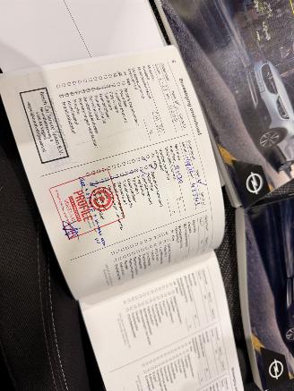 Opel Crossland X 1.2 Turbo edition NAP picture 45