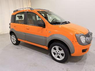 Fiat Panda Cross 1.3D 4x4 68.000KM picture 1