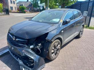 Opel Grandland Grandland (X), SUV, 2017 1.5 CDTI 130 picture 3