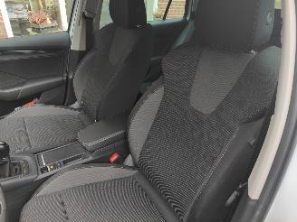 Skoda Octavia 1.0 TSI Business Edition picture 14