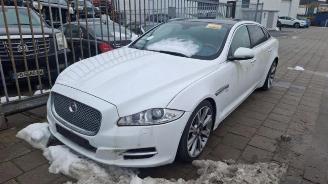 Vrakbiler auto Jaguar XJ XJ (X351), Sedan, 2009 / 2019 3.0 V6 Supercharged 24V 2015/1