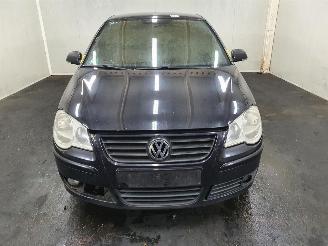 Volkswagen Polo 9N3 1.4i 16V Optive picture 2