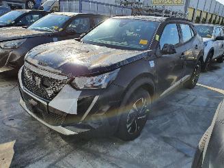 Peugeot 2008 P24E 1.2P Aut. picture 3