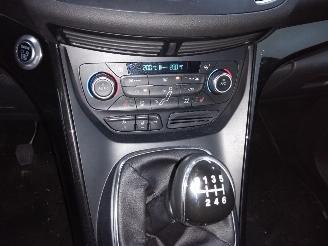 Ford Focus C-Max  picture 19