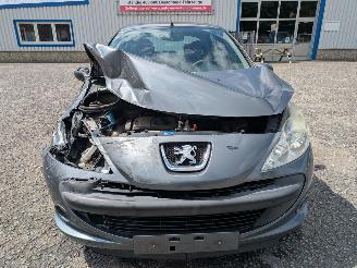 Peugeot 206+ 1.4 picture 2