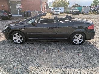 Peugeot 307 CC 2.0 picture 8