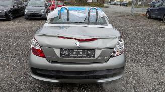 Peugeot 207 KTN picture 6