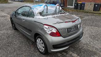 Peugeot 207 KTN picture 7