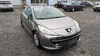 Peugeot 207 KTN picture 3