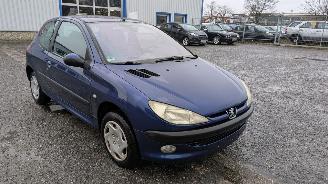 Peugeot 206 1.4 picture 3