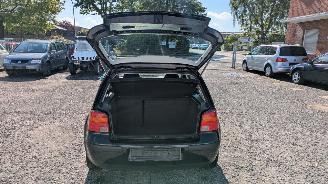 Volkswagen Golf 1J picture 5