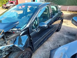 Peugeot 207  picture 6