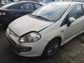 Fiat Punto Punto Evo (199), Hatchback, 2009 / 2012 1.3 JTD Multijet 85 16V Euro 5 picture 2