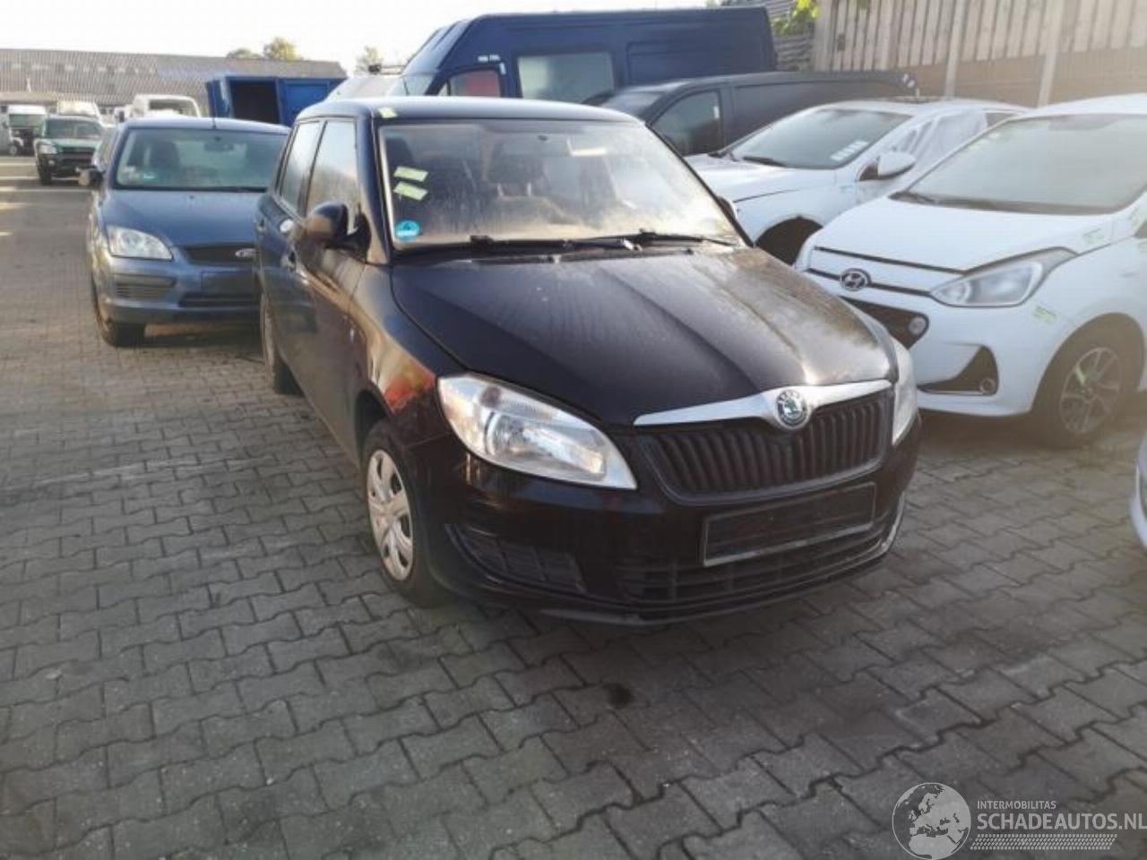 Skoda Fabia Fabia II (5J), Hatchback 5-drs, 2006 / 2014 1.2i