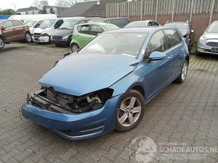 Volkswagen Golf Golf VII (AUA), Hatchback, 2012 / 2021 1.4 TSI 16V