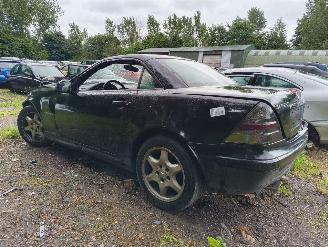 Mercedes SLK 230 K. Special Edition picture 1