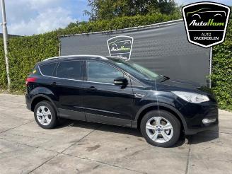 Ford Kuga Kuga II (DM2), SUV, 2012 1.6 EcoBoost 16V picture 2