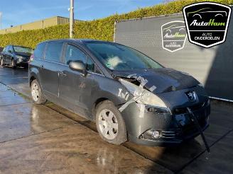 Peugeot 5008 5008 I (0A/0E), MPV, 2009 / 2017 1.6 VTI 16V picture 2