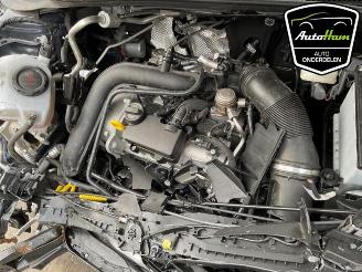 Volkswagen Polo Polo VI (AW1), Hatchback 5-drs, 2017 1.0 TSI 12V picture 14