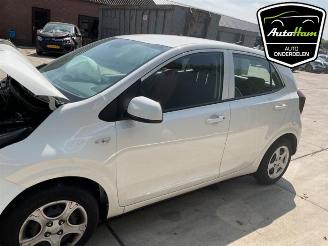 Kia Picanto Picanto (JA), Hatchback, 2017 1.0 DPI 12V picture 5