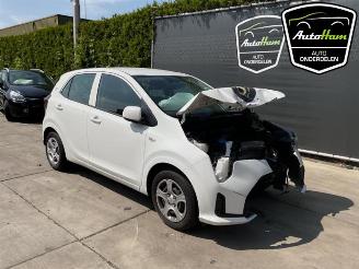 Kia Picanto Picanto (JA), Hatchback, 2017 1.0 DPI 12V picture 2