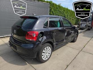 Volkswagen Polo Polo V (6R), Hatchback, 2009 / 2017 1.2 12V BlueMotion Technology picture 18