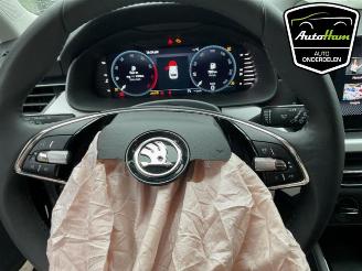 Skoda Scala Scala, Hatchback 5-drs, 2019 1.0 TSI 110 picture 11