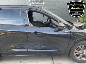 Ford Kuga Kuga III (DFK), SUV, 2019 2.5 PHEV 16V picture 12
