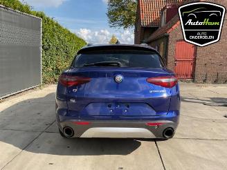 Alfa Romeo Stelvio Stelvio (949), SUV, 2017 2.0 T 16V Q4 picture 9