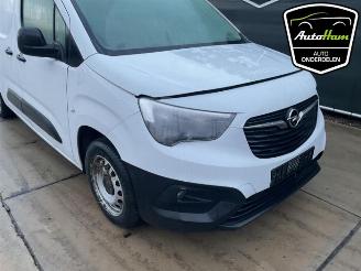 Opel Combo Combo Cargo, Van, 2018 1.5 CDTI 130 picture 3