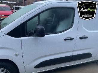 Opel Combo Combo Cargo, Van, 2018 1.5 CDTI 130 picture 8