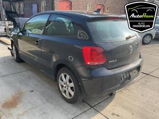 Volkswagen Polo Polo V (6R), Hatchback, 2009 / 2017 1.2 TSI picture 6