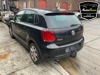 Volkswagen Polo Polo V (6R), Hatchback, 2009 / 2017 1.4 16V picture 8