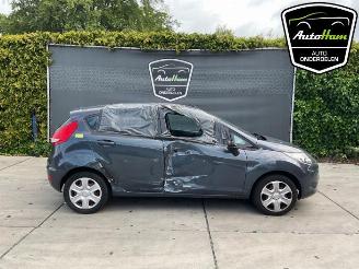 Ford Fiesta Fiesta 6 (JA8), Hatchback, 2008 / 2018 1.25 16V picture 1