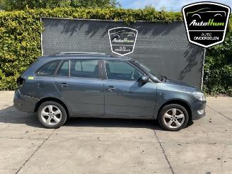 disassembly passenger cars Skoda Fabia Fabia II Combi, Combi 5-drs, 2007 / 2014 1.2 TSI 2014/5