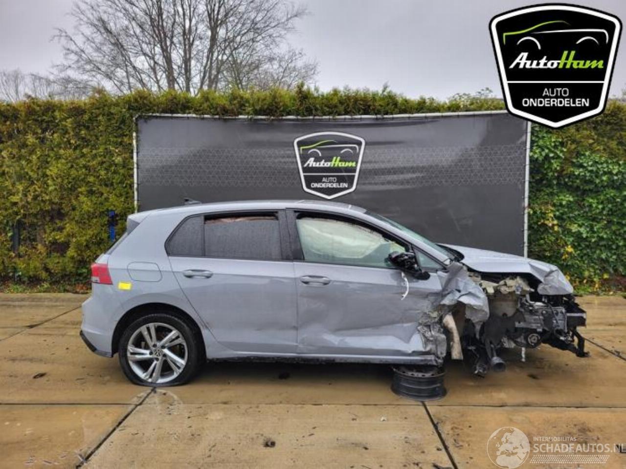 Volkswagen Golf Golf VIII (CD1), Hatchback, 2019 1.5 TSI BlueMotion 16V