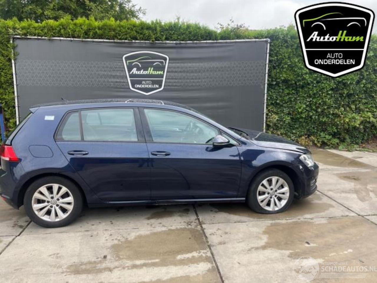 Volkswagen Golf Golf VII (AUA), Hatchback, 2012 / 2021 1.6 TDI BlueMotion 16V