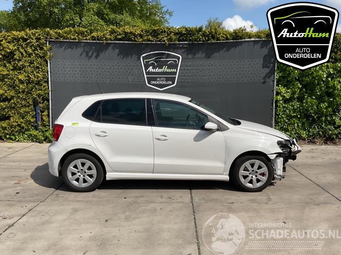 Volkswagen Polo Polo V (6R), Hatchback, 2009 / 2017 1.2 TDI 12V BlueMotion