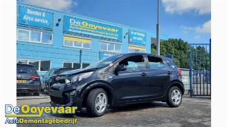 Kia Picanto Picanto (JA), Hatchback, 2017 1.0 12V picture 1