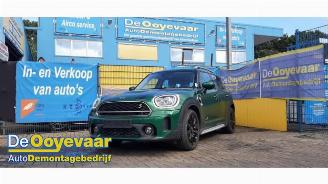 Mini Countryman Countryman (F60), SUV, 2016 1.5 TwinPower Turbo 12V Cooper SE ALL4 picture 5