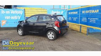 Kia Picanto Picanto (JA), Hatchback, 2017 1.0 12V picture 1