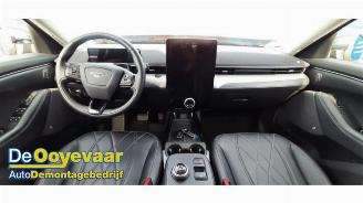 Ford USA Mustang Mustang Mach-E, SUV, 2020 75kWh RWD, 98kWh Extended RWD picture 2