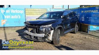 Hyundai Grand Santa Fe Santa Fe IV, SUV, 2018 1.6 T-GDI HEV picture 3