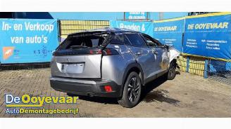 Peugeot 2008 2008 (UD/UK/UR/US/UX), MPV, 2019 1.2 VTi 12V PureTech 100 picture 6