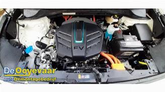 Kia Niro Niro I (DE), SUV, 2016 / 2022 E-Niro 64 kWh picture 2