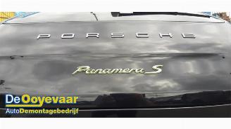 Porsche Panamera Panamera (970), Liftback, 2009 / 2016 3.0 V6 24V S E-Hybrid picture 2